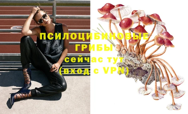 мяу мяу мука Саяногорск