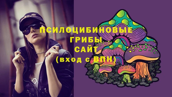 СК Сафоново