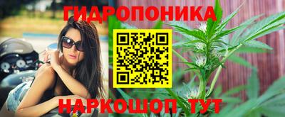 дмт Берёзовский