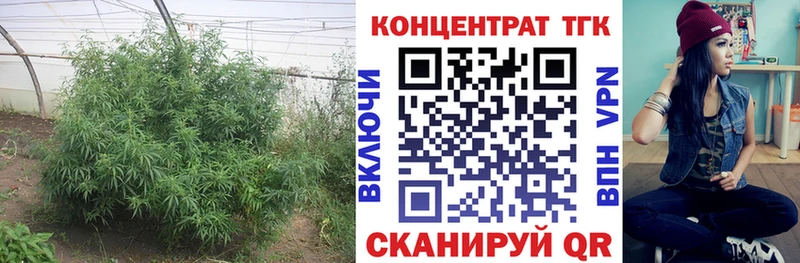 ТГК жижа  mega   Тавда  купить наркоту 