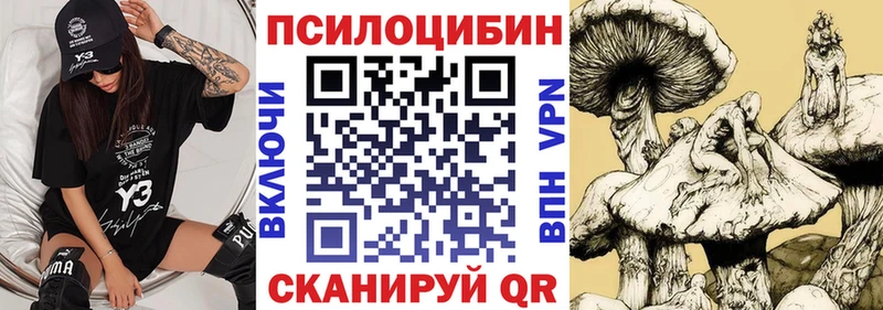 kraken зеркало  Тавда  Псилоцибиновые грибы GOLDEN TEACHER 