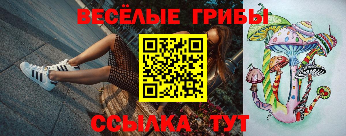 Галлюциногенные грибы Psilocybine cubensis  Вход с VPN  Тавда  Псилоцибиновые грибы Cubensis 